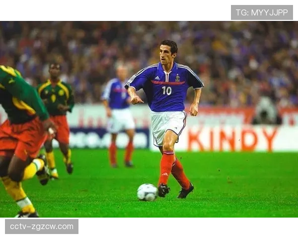 德甲可持续发展计划全面推进，各俱乐部践行环保理念